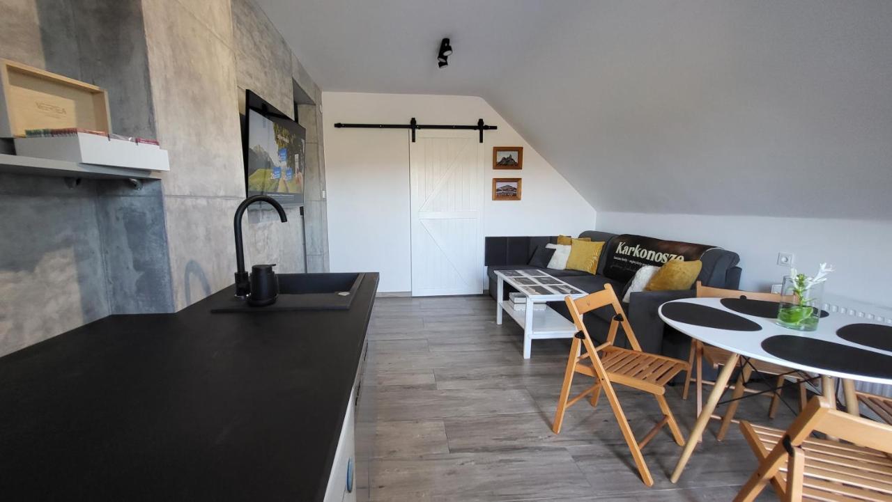 Swit - Apartament W Jezowie Sudeckim Jezow Sudecki 外观 照片