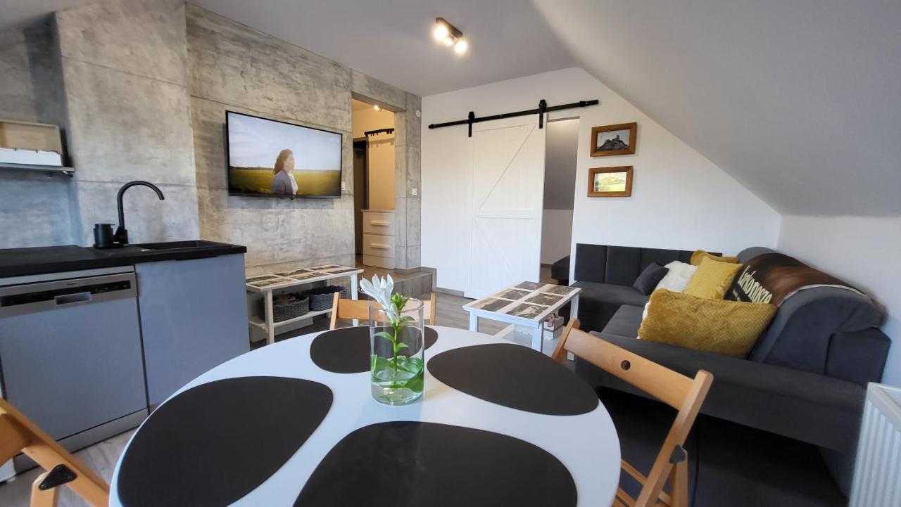 Swit - Apartament W Jezowie Sudeckim Jezow Sudecki 外观 照片
